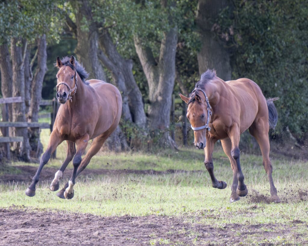 Bad Habits and Rousing Encore