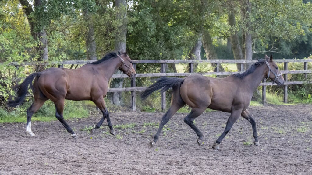 Newyorkstateofmind and South Shore