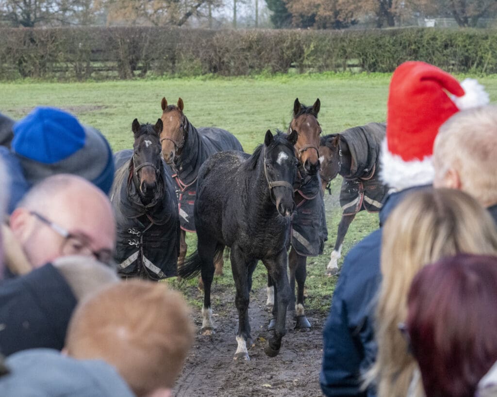 Invincible Crown (left) Jojo Rabbit (right)