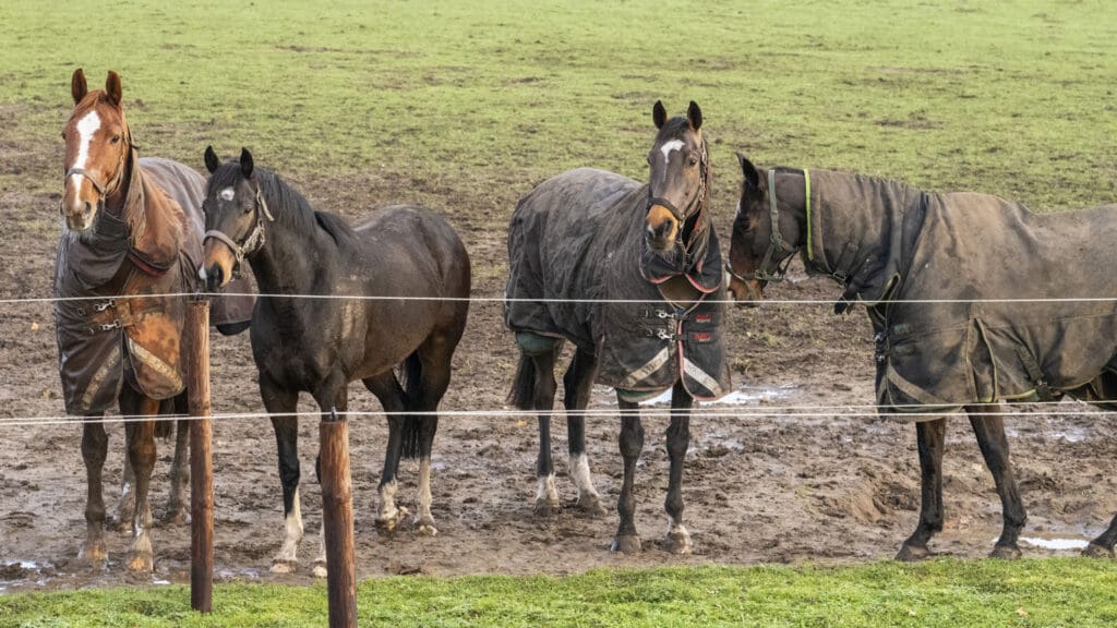 Edward, Betweenthesticks, Be Perfect, Freddy