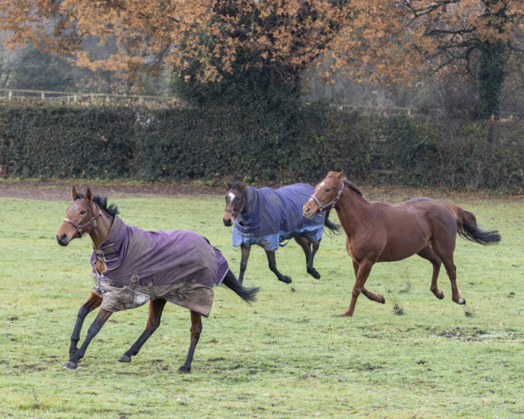 The girls put on a show!