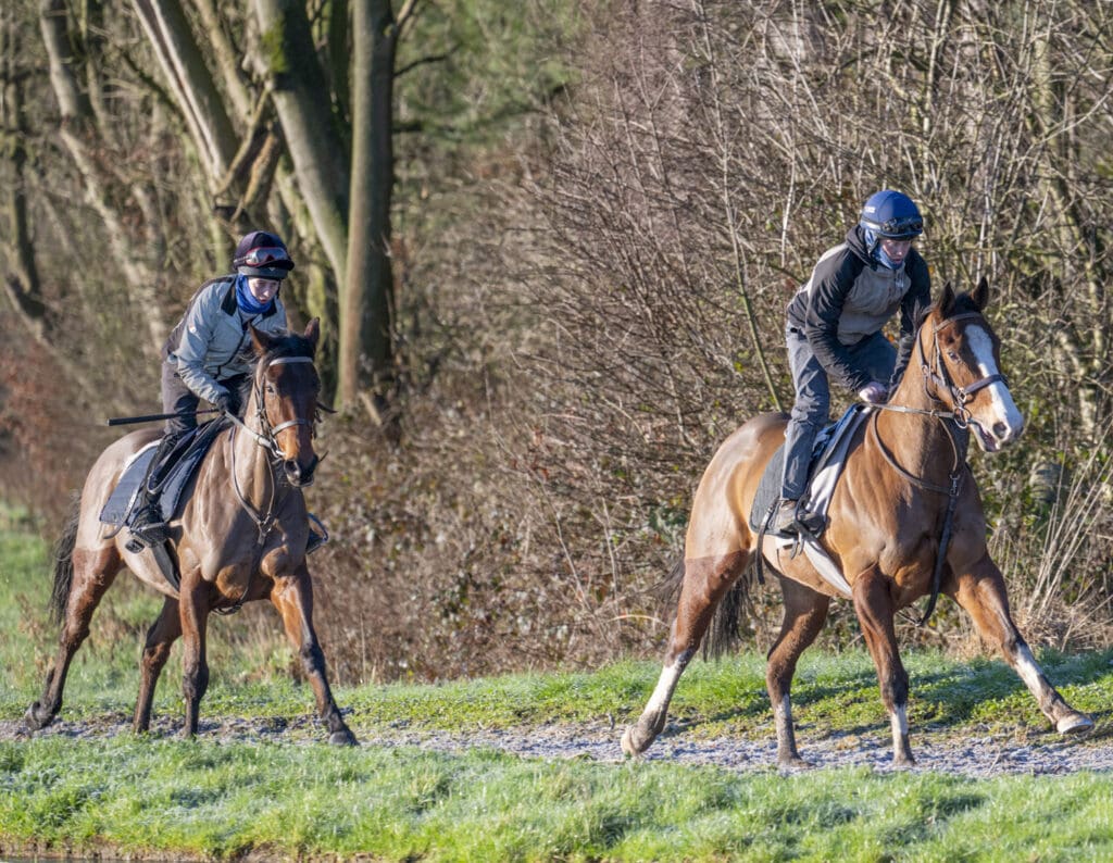 Palmerian and Cajetan (L to R)