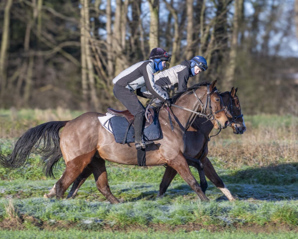 Palmerian and Cajetan