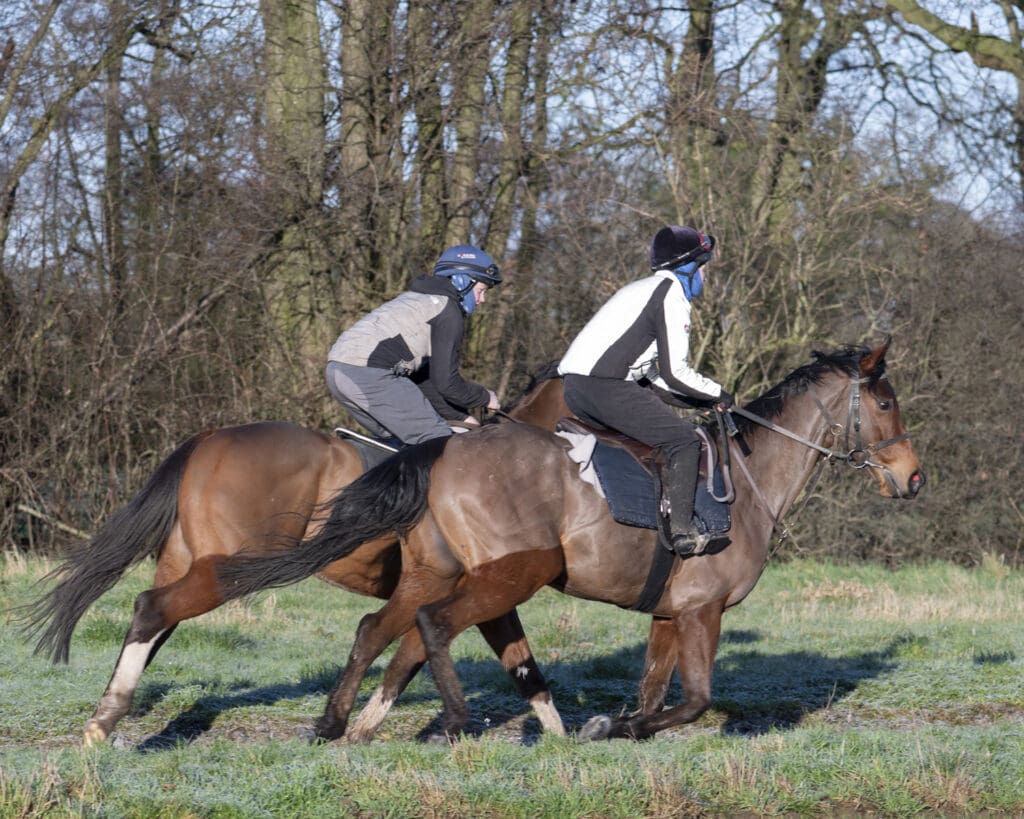 Palmerian and Cajetan