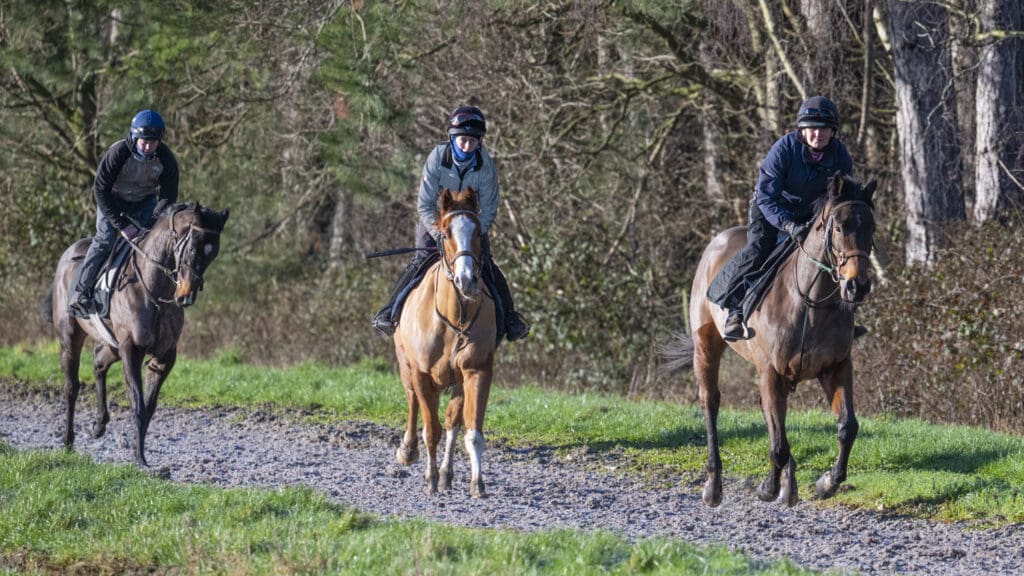 Wise Crack, Billy and Kinetic Force (L to R)