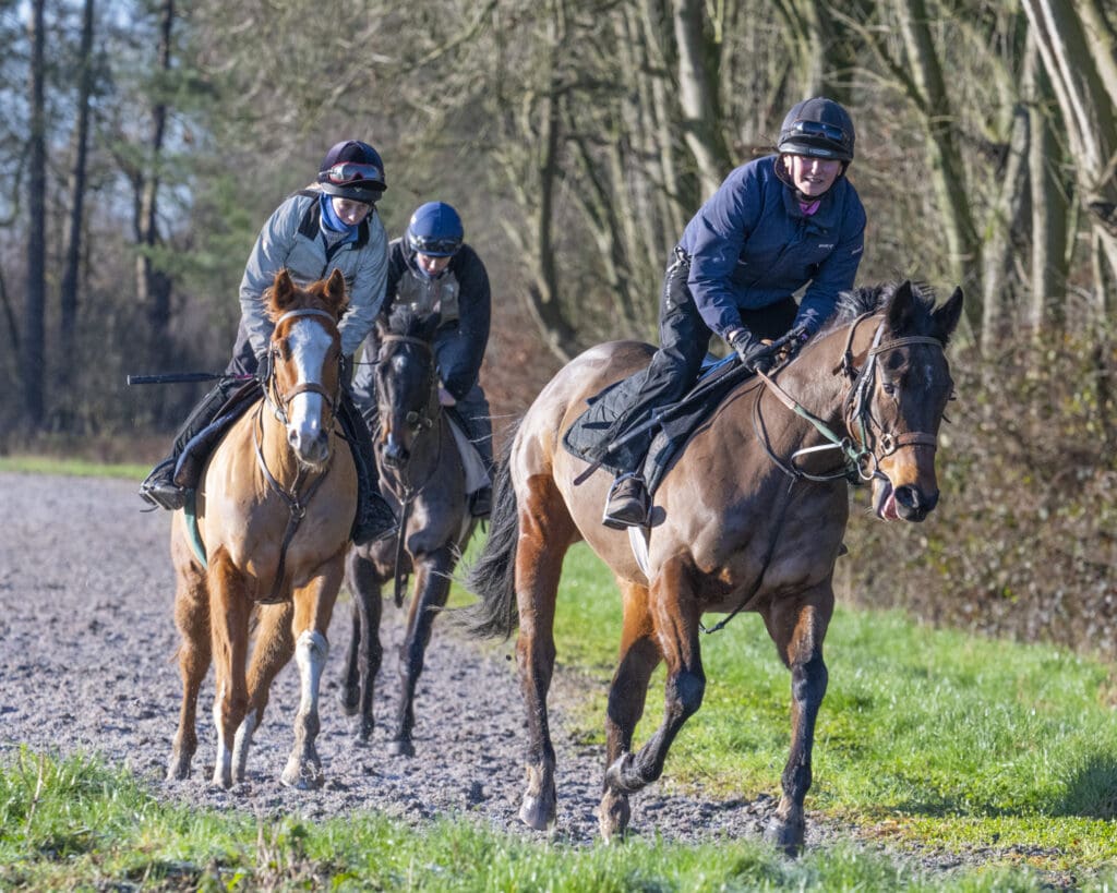 Billy, Wise Crack and Kinetic Force (L to R)