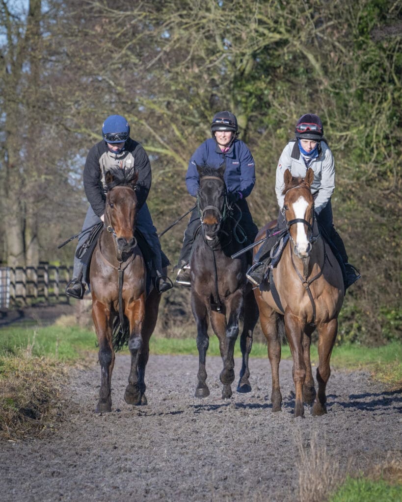 Antique Blue, Filey Beach and Sea Master (L to R)