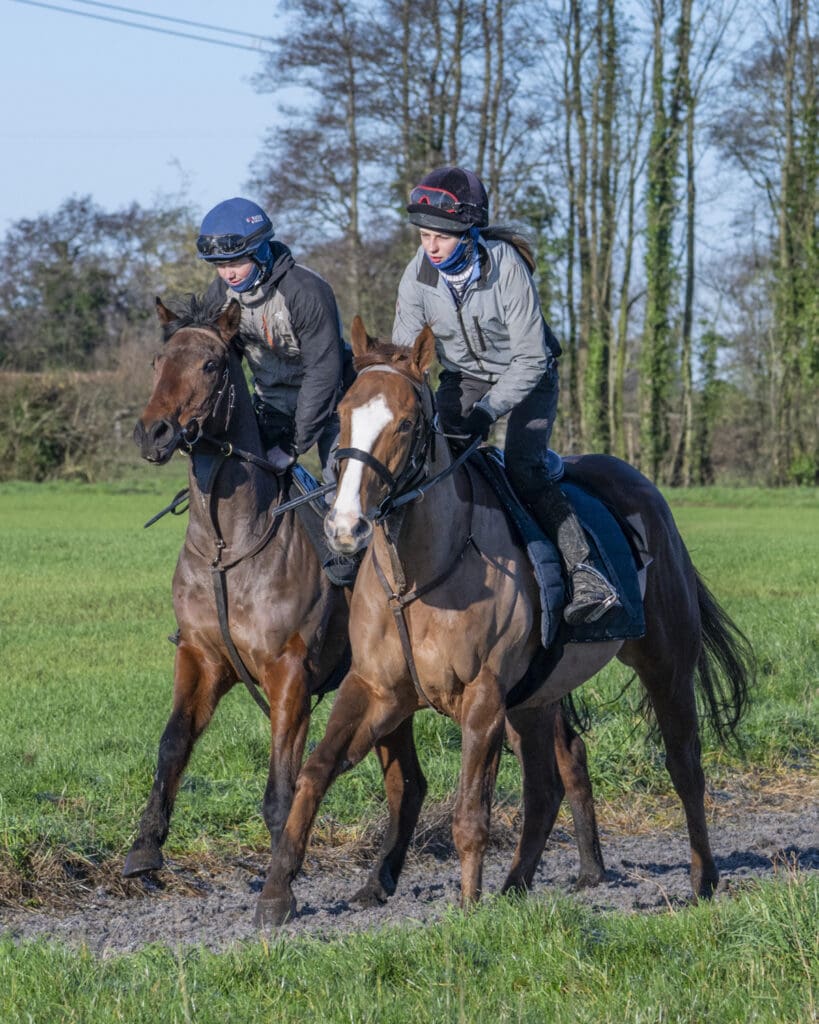 Antique Blue and Sea Master (L to R)