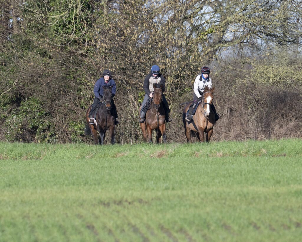 Filey Beach, Antique Blue and Sea Master (L to R)