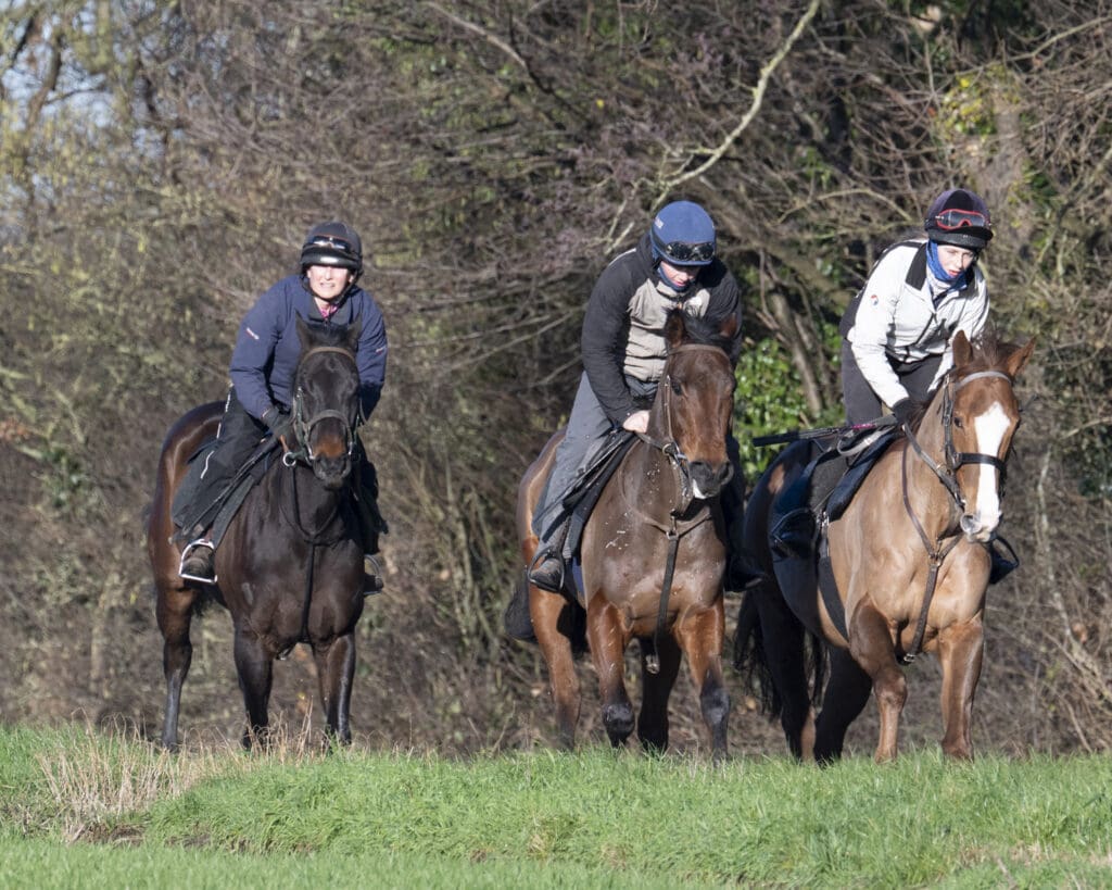 Antique Blue, Filey Beach and Sea Master (L to R)