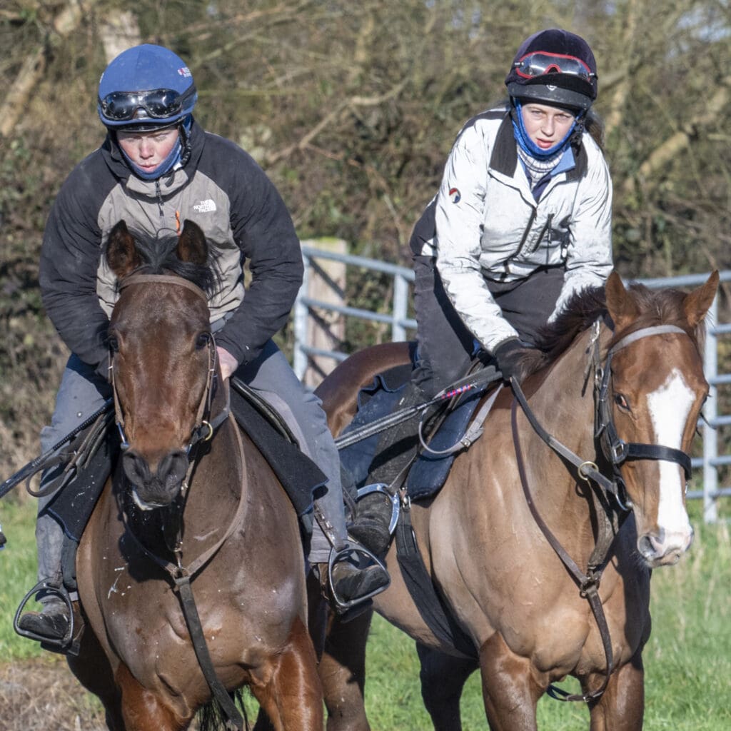 Antique Blue and Sea Master (L to R)