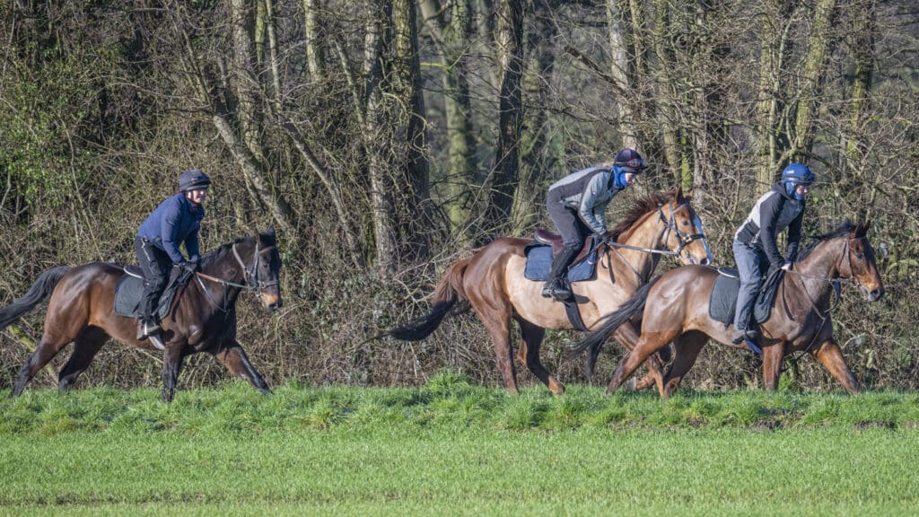 Antique Blue, Sea Master and Filey Beach