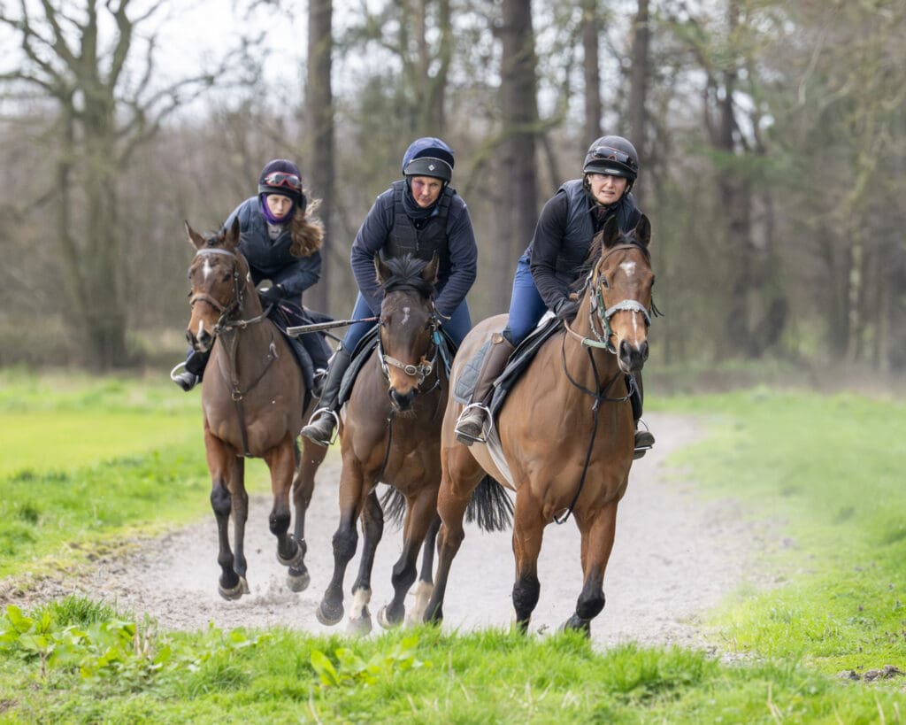 Swiss Ace, Kinetic Force and Dumfries