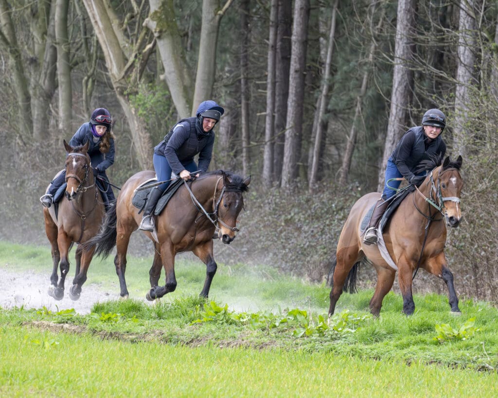 Swiss Ace, Kinetic Force and Dumfries