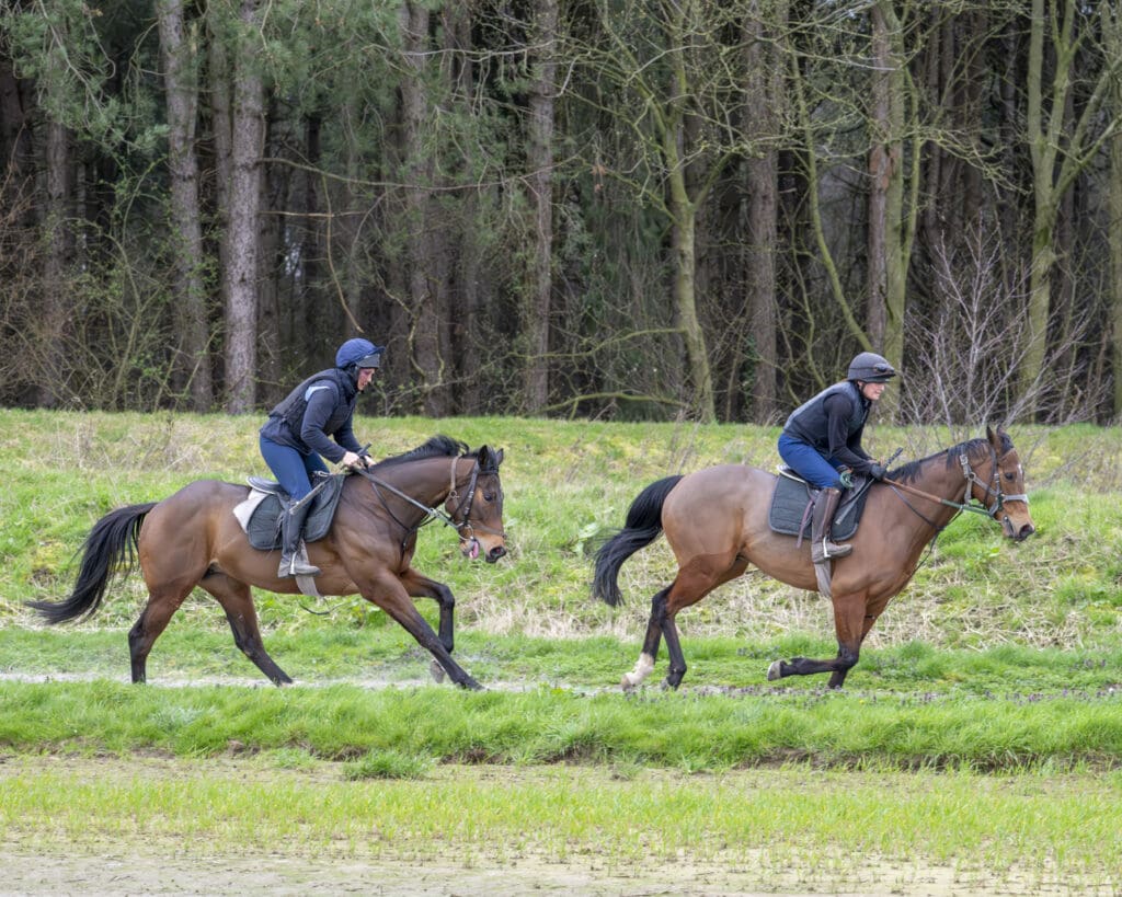 Swiss Ace and Kinetic Force