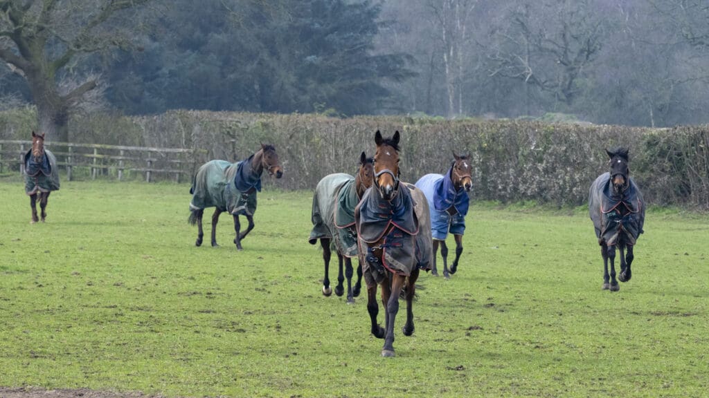 Rousing Encore leads the gang