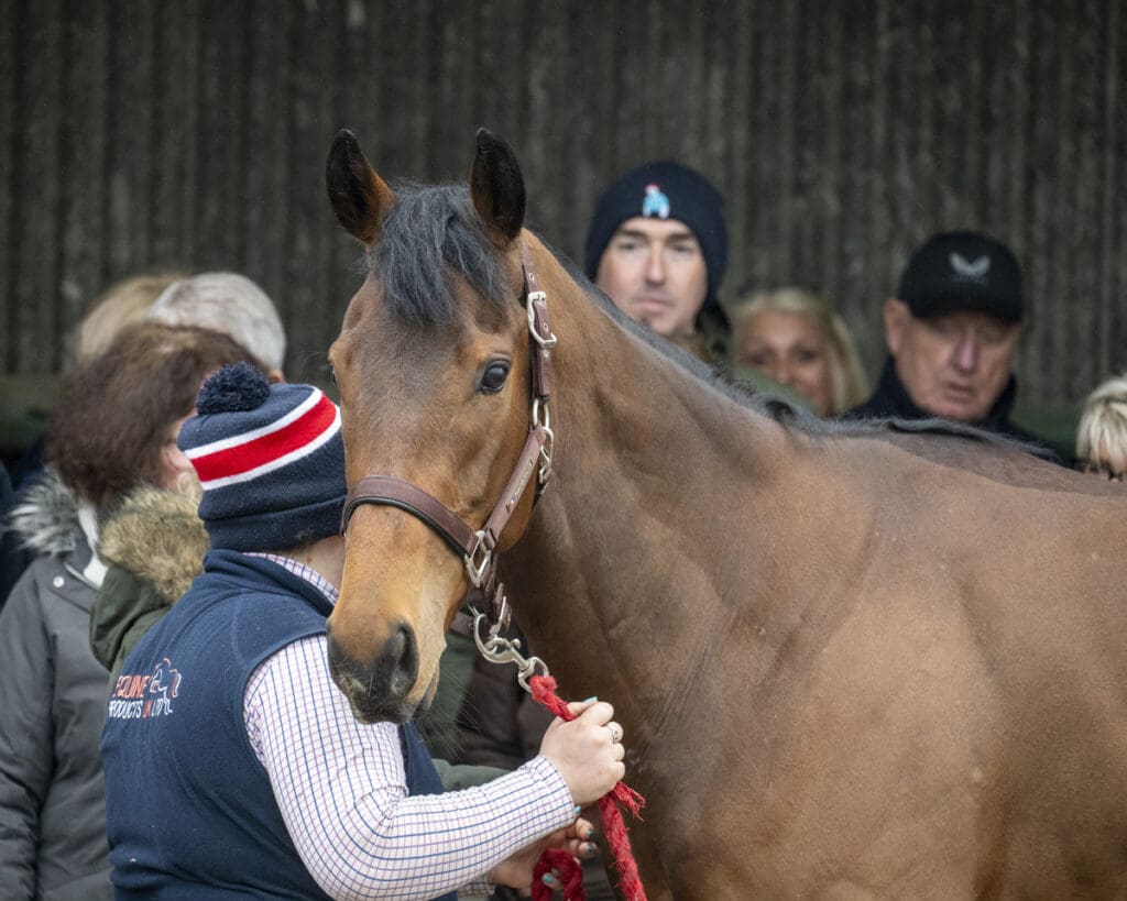 Lots of questions are answered by Ruth and her team