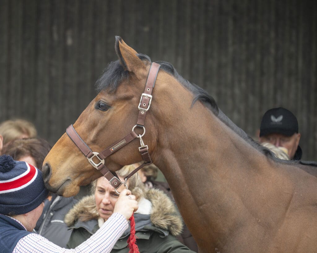 Horwich stands to be admired