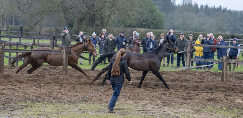 Filey Beach and Sea Master are worked for our visitiors to see