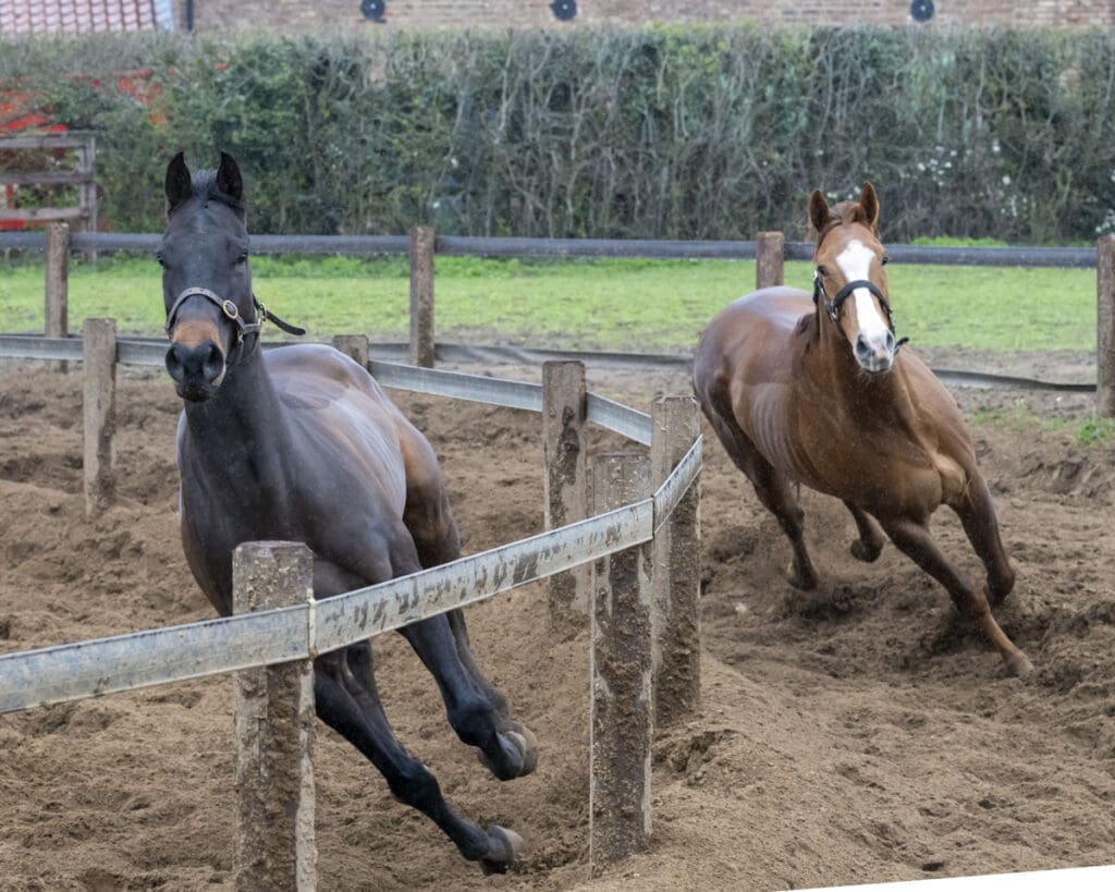 Double lunging, the club are shown our unique methods