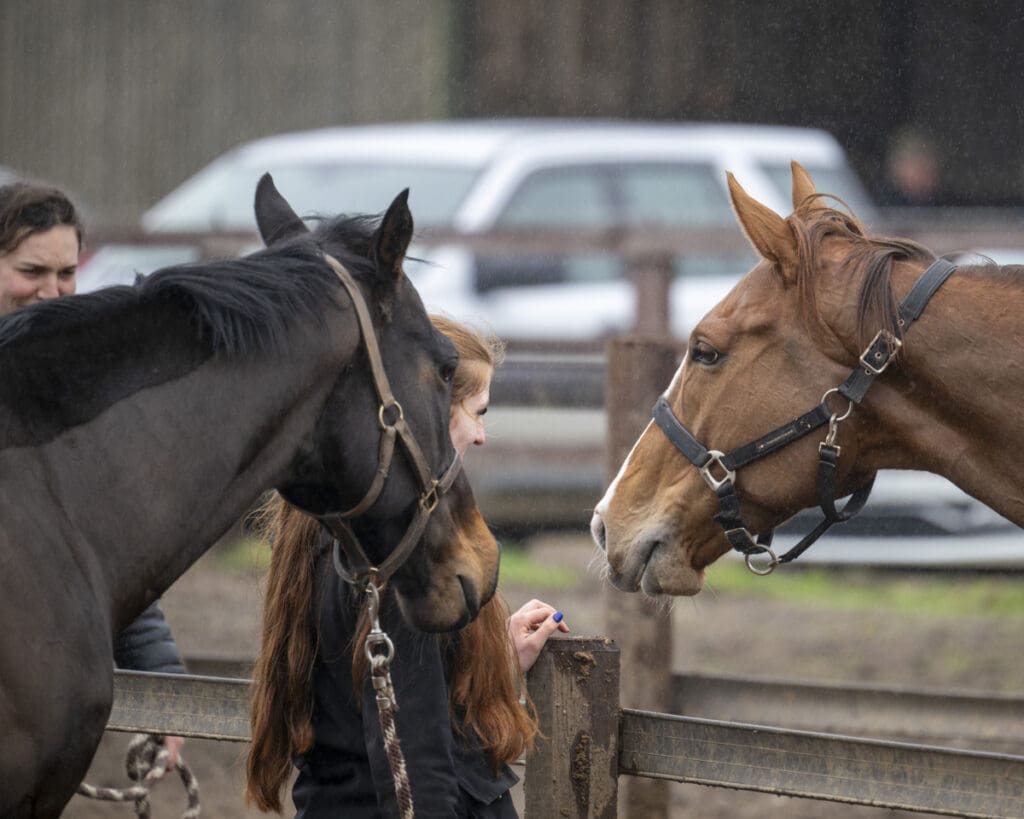 Filey Beach and Sea Master have done their work