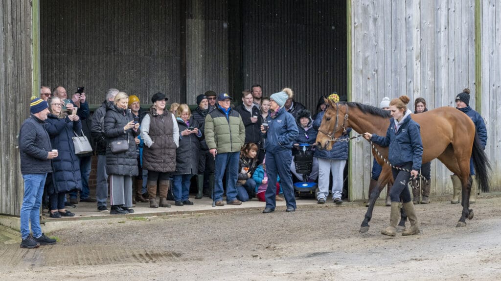 Magic quite enjoys the attention