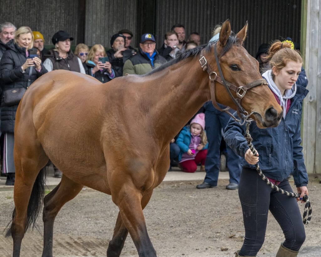 Magic Runner puts on a show for the club members