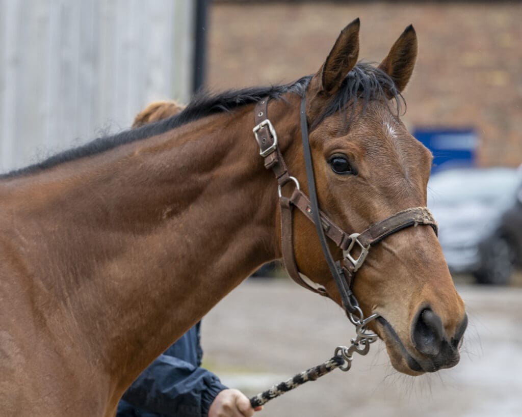 Magic Runner poses for all the members and their cameras