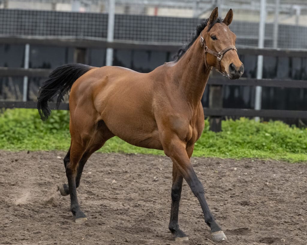 Magic Runner gets turned out after meeting her visitors