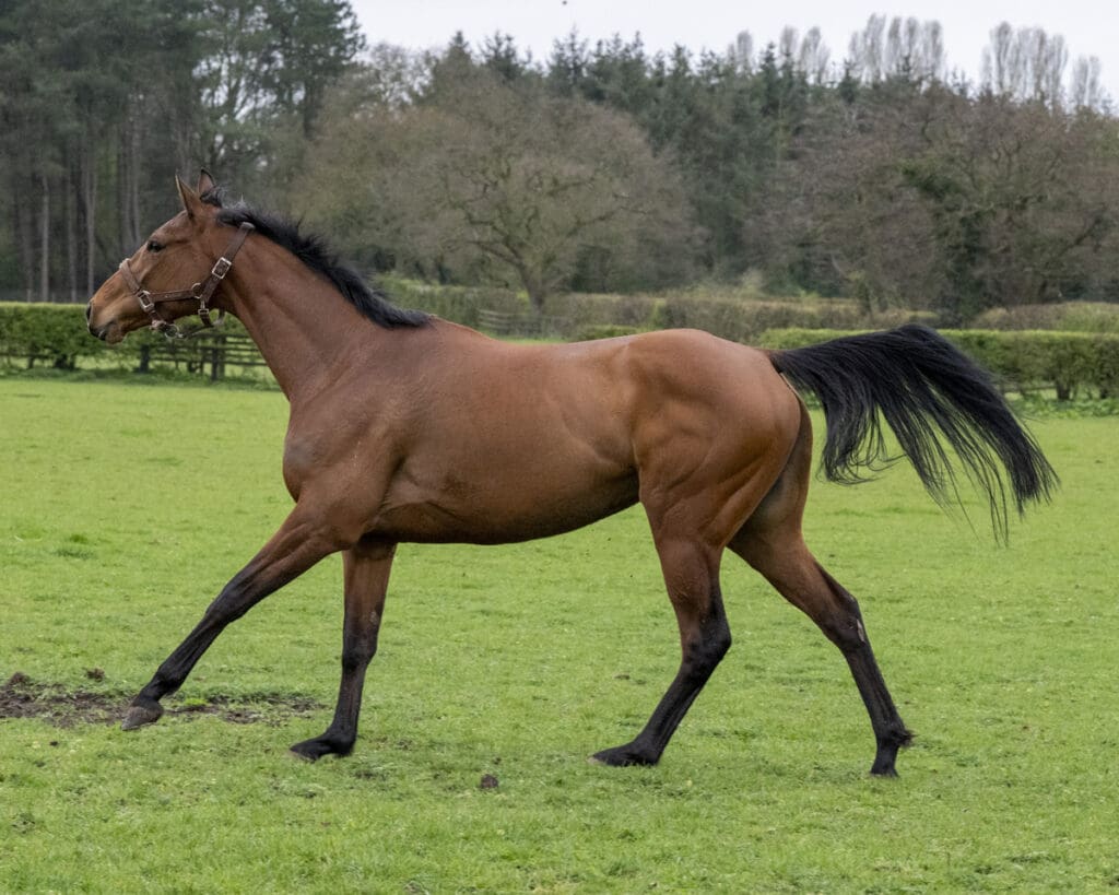 Magic Runner joins her friends at last