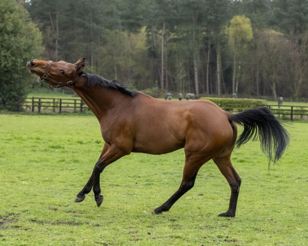 Magic has a nice neck stretch