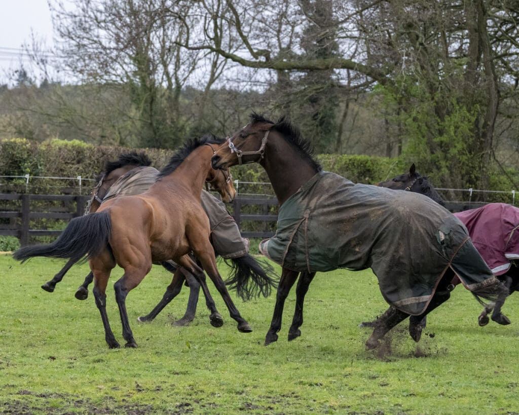 Magic catches up with her mates