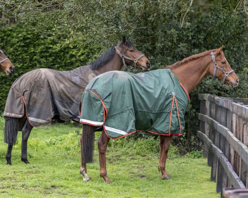 Furrst Lady and Hostelry