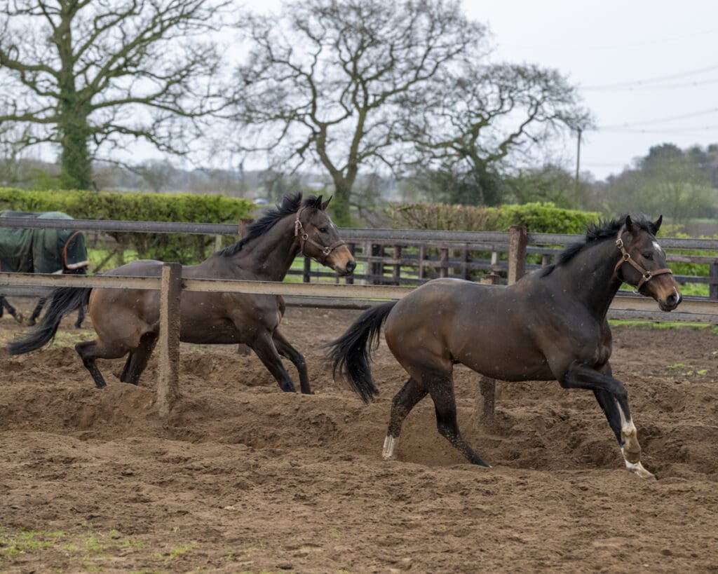 Betweenthesticks and Emerald Army