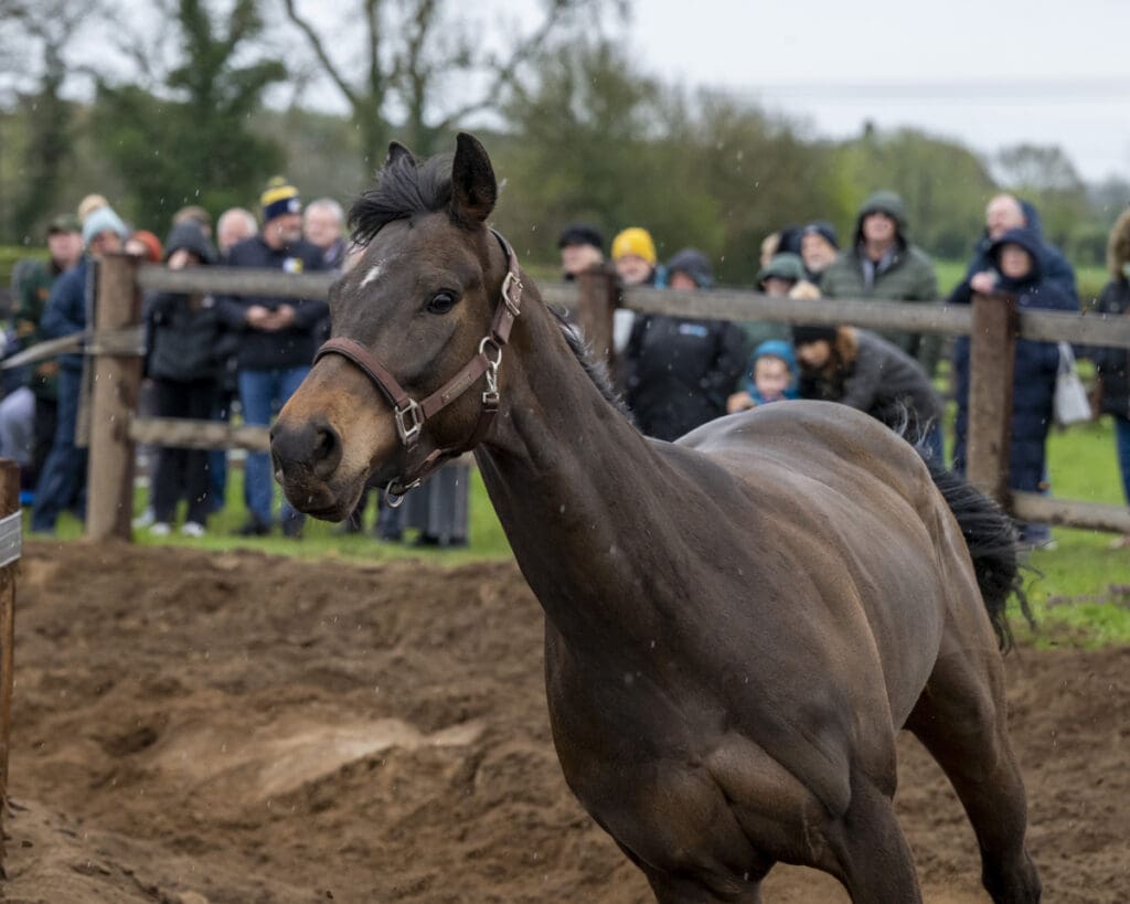 Emerald Army has his eye on the camera