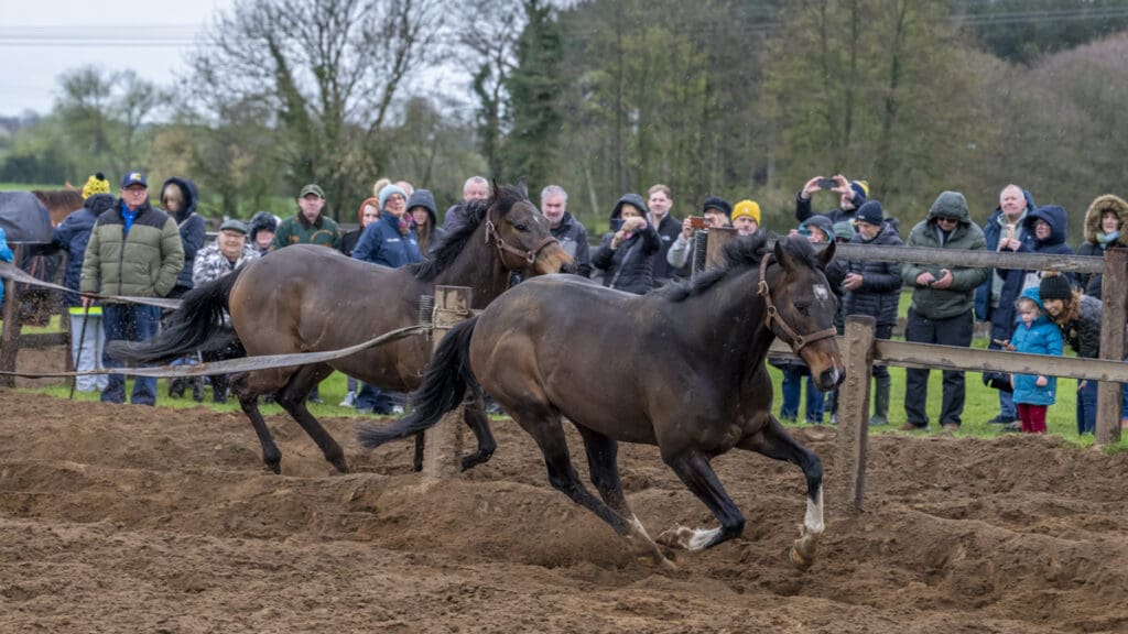 Betweenthesticks and Emerald Army