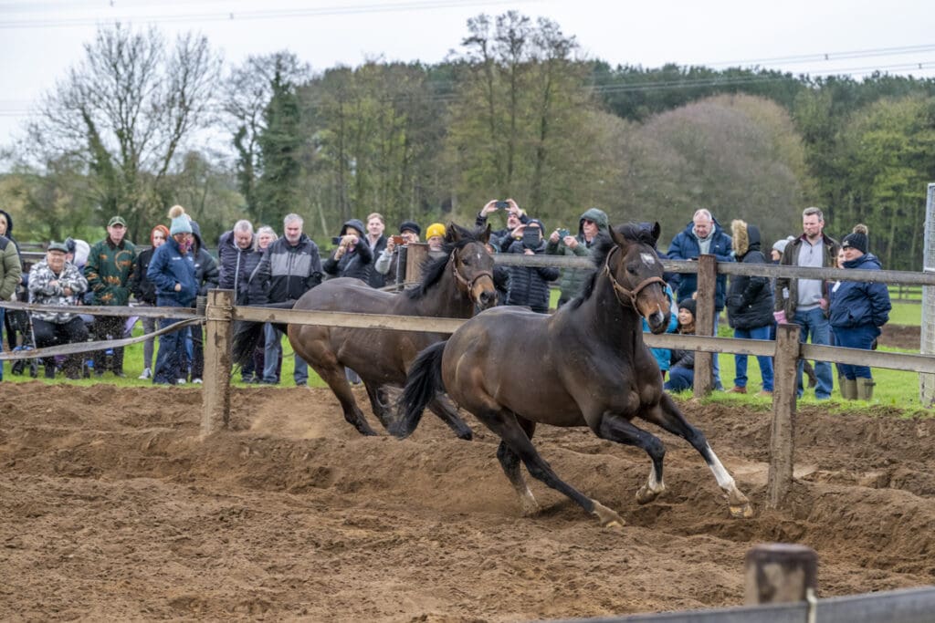 Betweenthesticks and Emerald Army