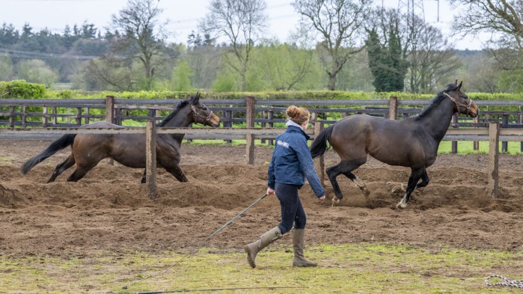 Eloise encourages Betweenthesticks and Emerald Army