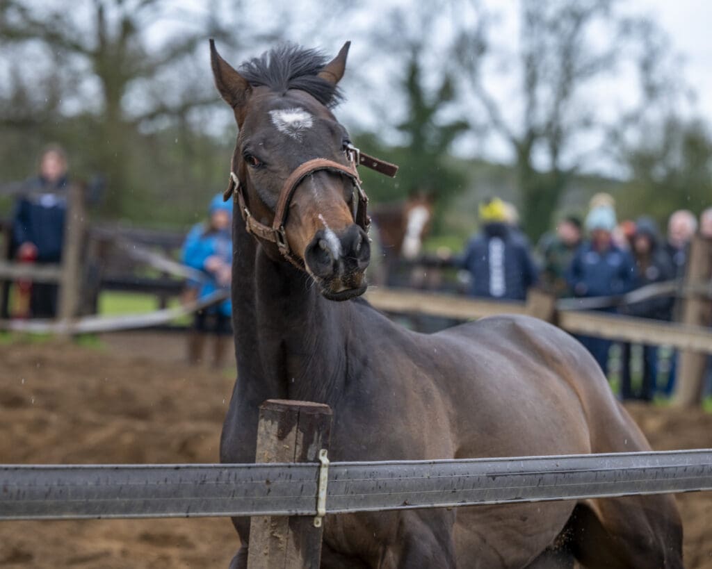 Betweenthesticks takes the inside