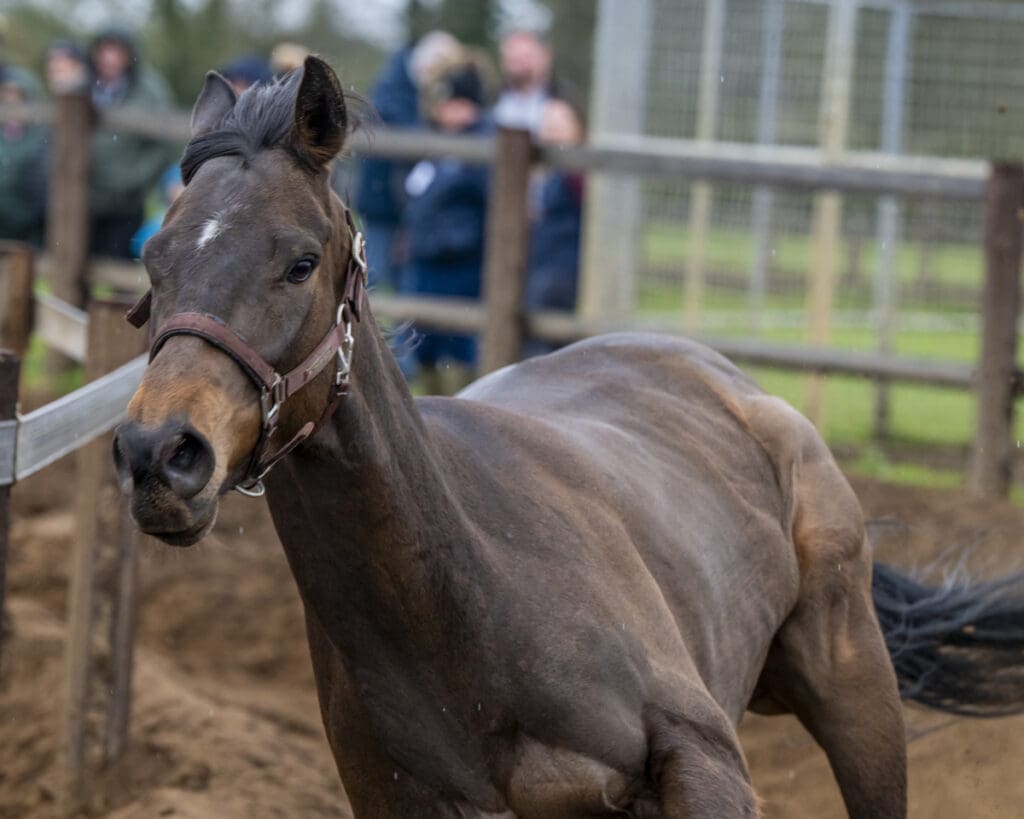 Emerald Army has to go faster on outside