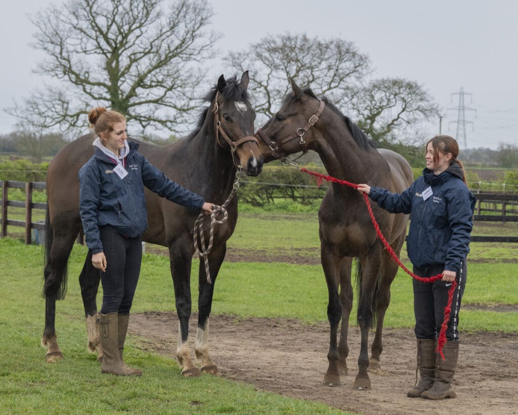 Betweenthesticks and Emerald Army say "job well done!"