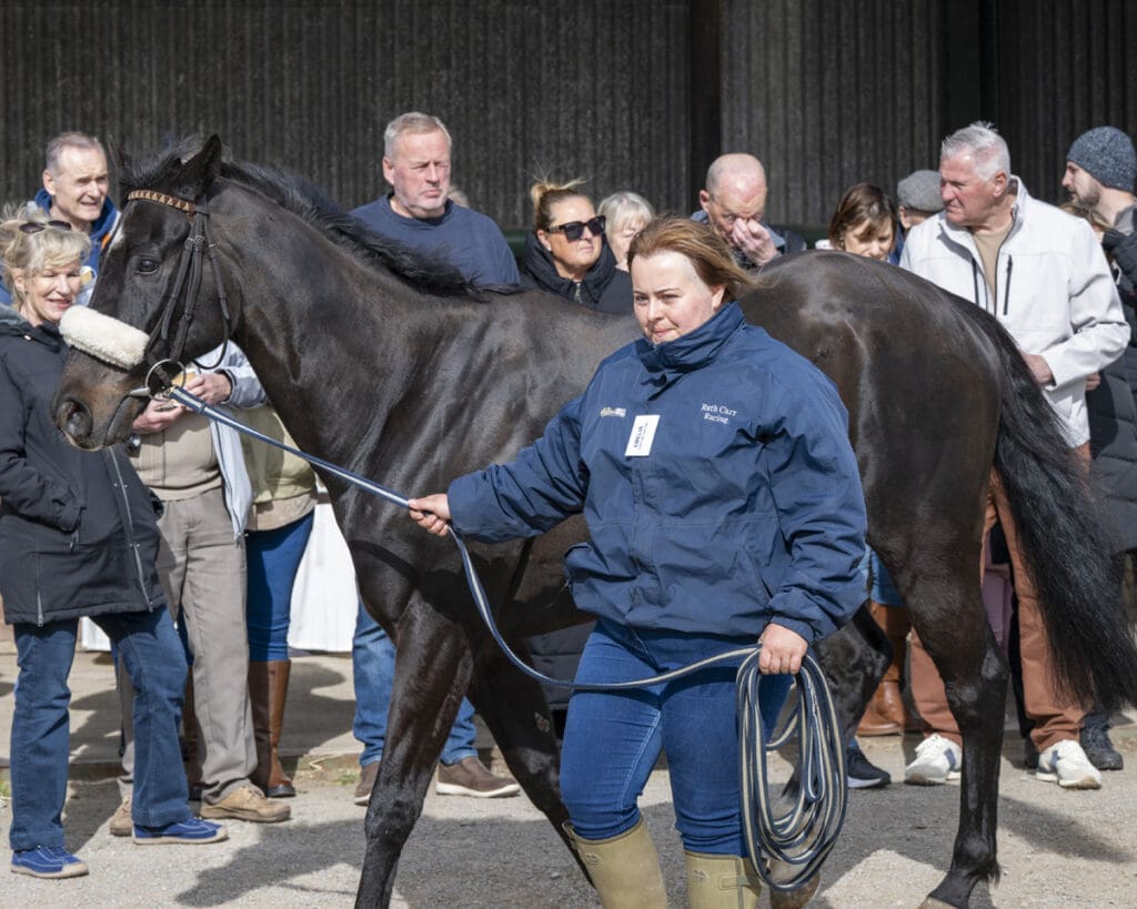 The owners can get up close to see Jojo as he parades in front of them all