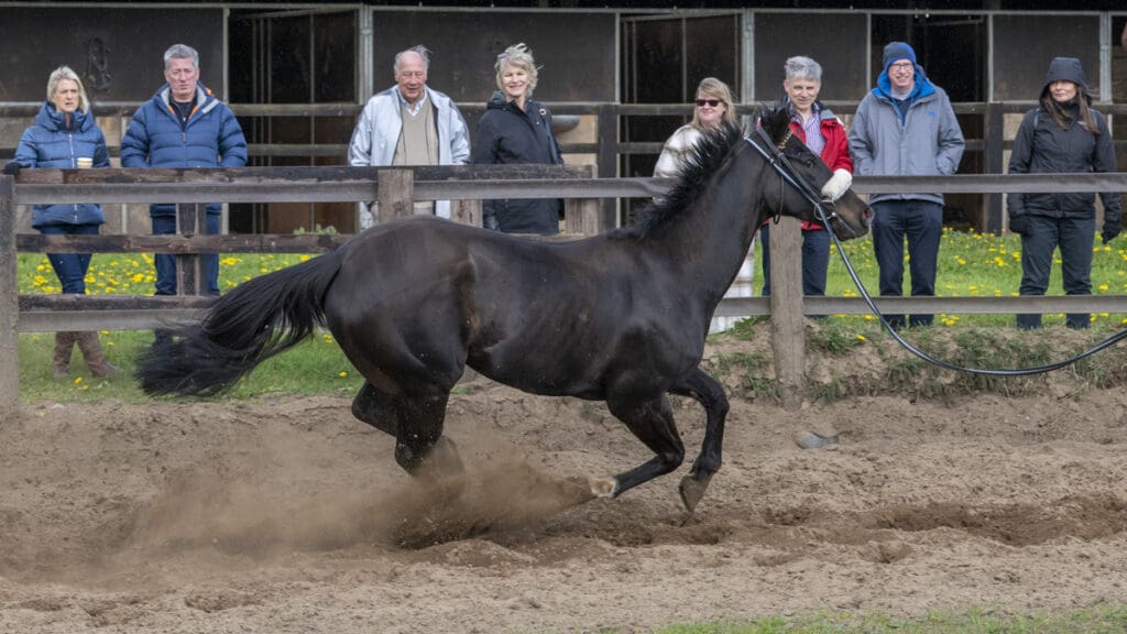 Jojo Rabbit puts on a top class display