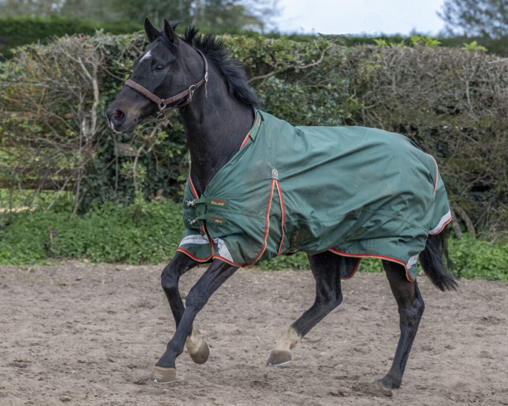 Jojo rugged up and turned out