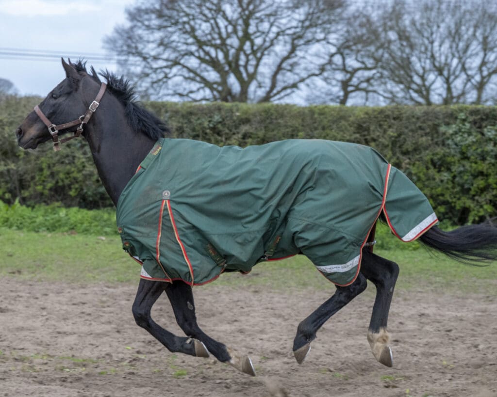 Jojo Rabbit is off to enjoy the rest of his Sunday