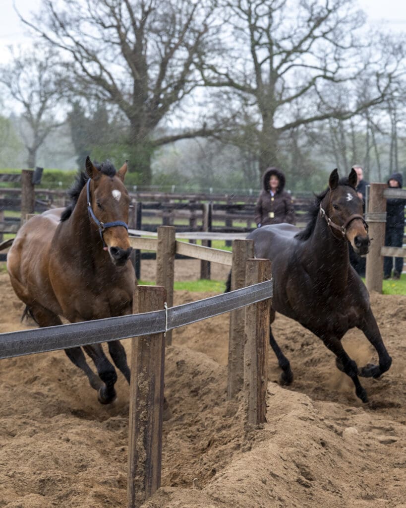 Newyork inside and Dawn on the outer