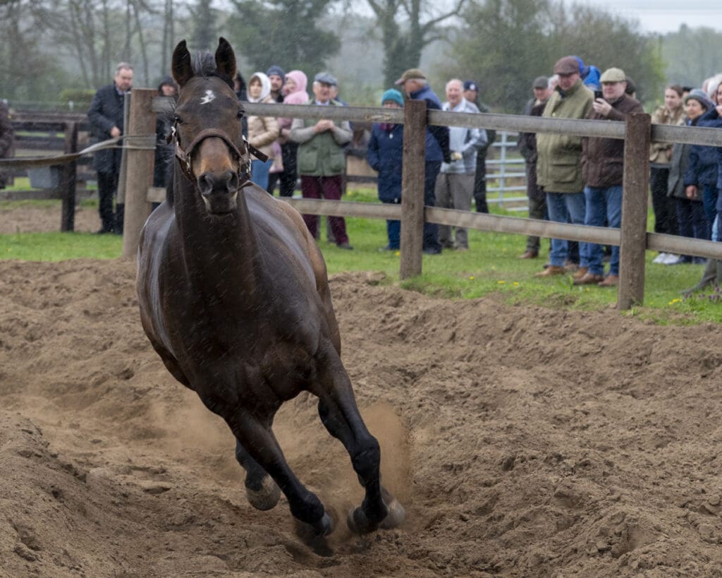 Dawn of Liberation performs despite the downpour