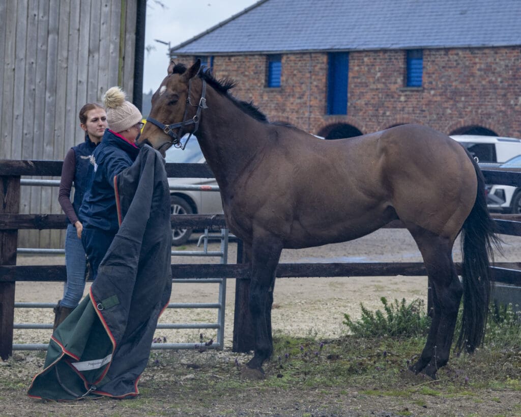 Newyorkstateofmind has had enough of the rain!
