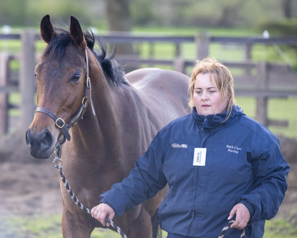 Palmarian's work is done