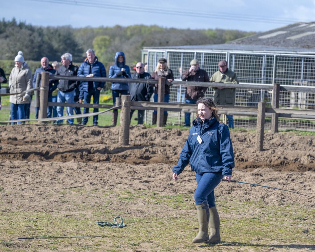 Elspeth lunges the Grange Park Racing horses
